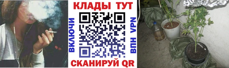 Виды наркотиков купить Чудово А ПВП Каннабис Мефедрон ГАШИШ