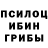 Галлюциногенные грибы GOLDEN TEACHER Aaron Gregg