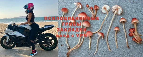 а пвп мука Аркадак