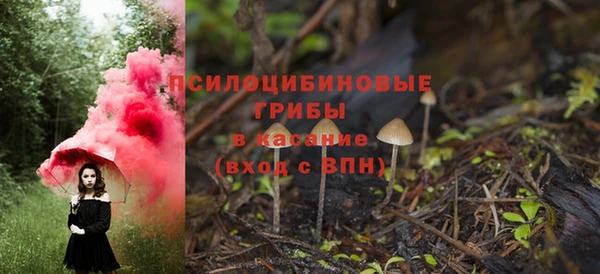 а пвп мука Аркадак
