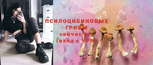 спайс Арсеньев