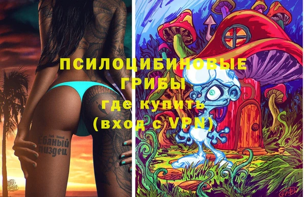 а пвп мука Аркадак