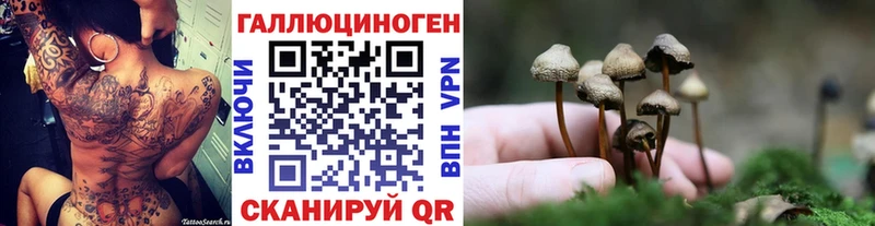 kraken вход  Чудово  Псилоцибиновые грибы Magic Shrooms 